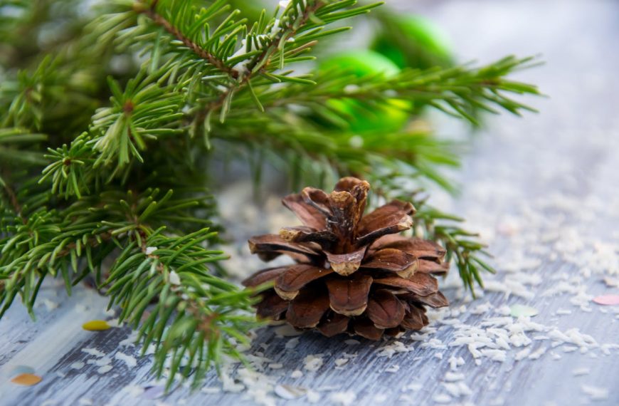 Weihnachtsfeier HSV Lienz 10.12.2025 - 15:00 Uhr